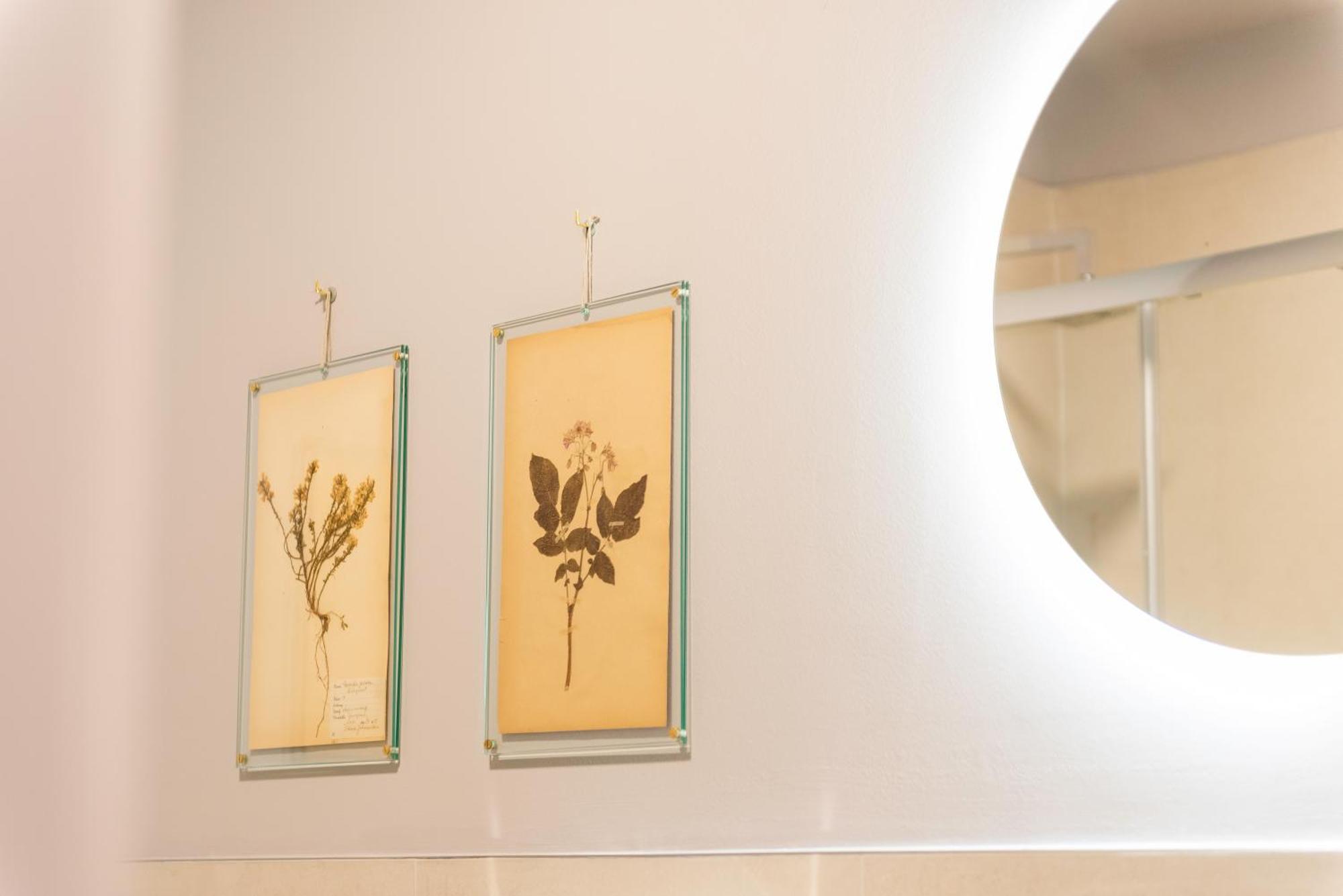 Regina Boutique Suites Terst Exteriér fotografie